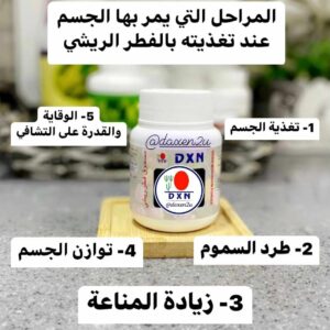 سوريا 11