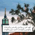 الطريق إلى ٱلجنة 1
