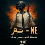مصر 44