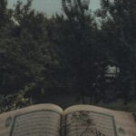 قال رسول الله ﷺ الدال على الخير كفاعله