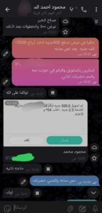 استثمار 2