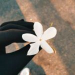 المجاهدة الصغيرة 1