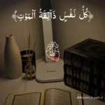 اليمن 47
