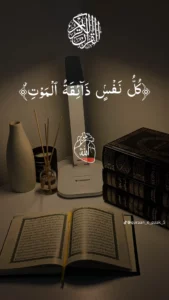 اليمن 47