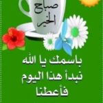 الجزائر 3
