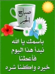 الجزائر 3