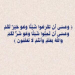 المملكة العربية السعودية اليمن السعيد 1