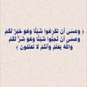 المملكة العربية السعودية اليمن السعيد 1