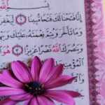 قران كريم واحديث وروايات 1