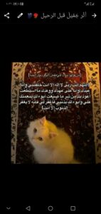 أثر جميل قبل الرحيل  4