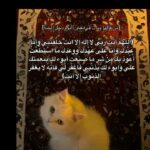 أثر جميل قبل الرحيل  4