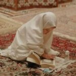 فراشات الجنه 1