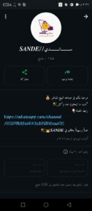 ساندي 1