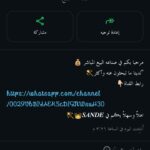 ساندي 1