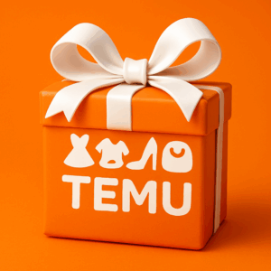 أكسب مع TEMU 1