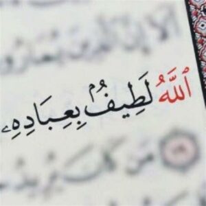الله لطيف بعباده