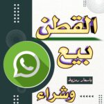 حضرموت  القطن