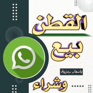 حضرموت  القطن