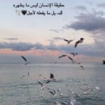 جروب عبارات وخواطر  2