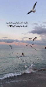 جروب عبارات وخواطر  2