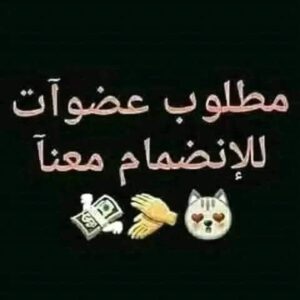 قنا 1