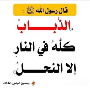 محمد العرش المشرف المجموعات الوتساب 1