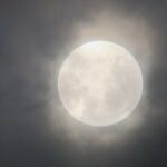 بنات فقط واولاد فقط 1