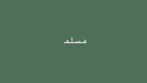 مصر 81