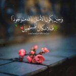 صعده 1