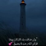 الساحل العرائش 1