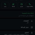 اليمن 66