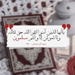 مسلمون 24