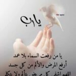 لكي لا تغرق السفينه  ℛ𝒶𝓎𝒶𝓃