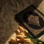 في رحاب الي الجنه 1