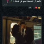 مصر 91