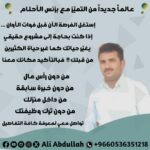 العصر الذكي للأعمال من الهواتف لنساء والرجال