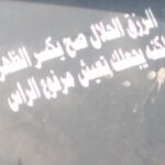 كره القدم 1
