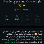 ملوك للربح من الانترنت بكل سهوله