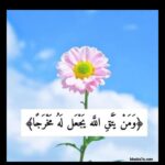 علي خطي الرسول 2