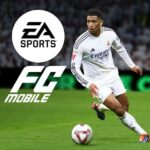 استور فيفا 1