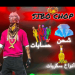 Sidi Kacem 1