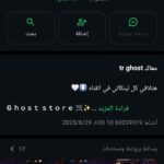 القاهره 17