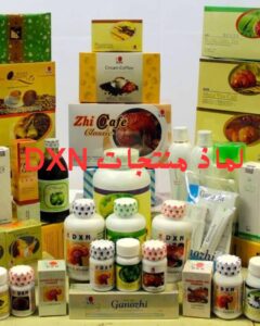 صحتي في غذائي 2