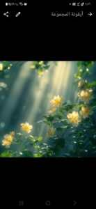 كنوز الطبيعه 1