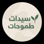 رائدات من المنزل 2