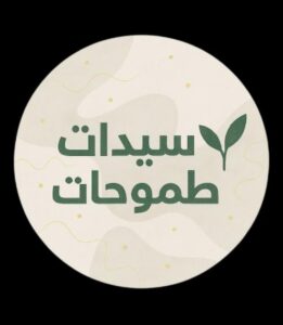 رائدات من المنزل 2