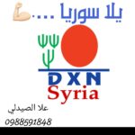 كوني رائده أعمال 2