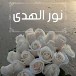 نور الهدى 3