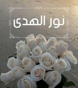 نور الهدى 3