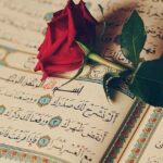 صدقة جارية 3